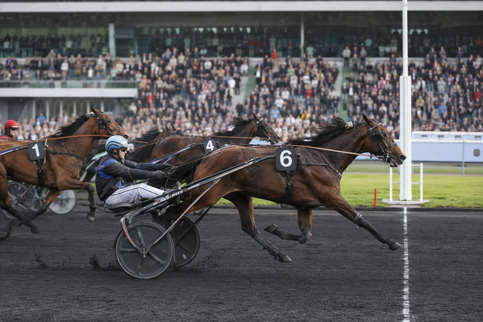 Bilan Quinté+ du 29 août à Vincennes : Notre pronostic au rendez-vous pour le Prix Gaston de Wazières