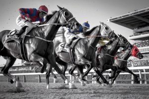 Cagnottes exceptionnelles au quinté+ du 5 octobre : Gagnez gros sur pmu.fr lors du prestigieux prix de l’arc de triomphe