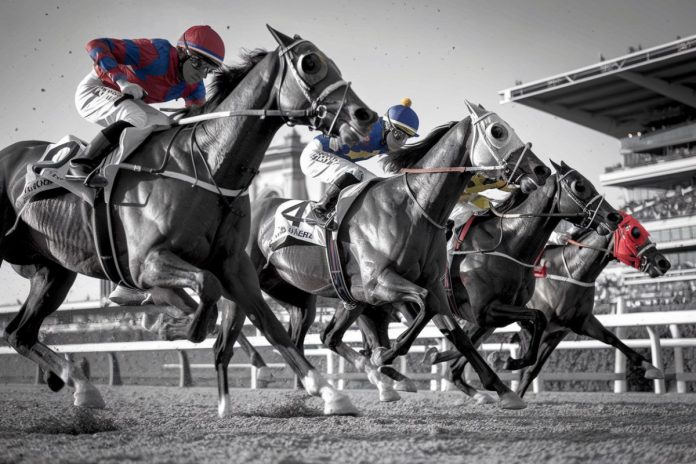 cagnottes exceptionnelles au quinté+ du 5 octobre : gagnez gros sur pmu.fr lors du prestigieux prix de l'arc de triomphe