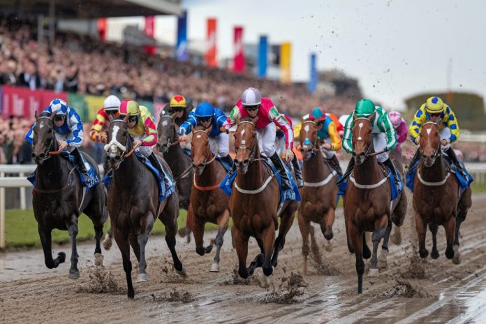 pronostics quinté+ 5 octobre 2025 : analyse complète des cotes et stratégies gagnantes pour maximiser vos chances